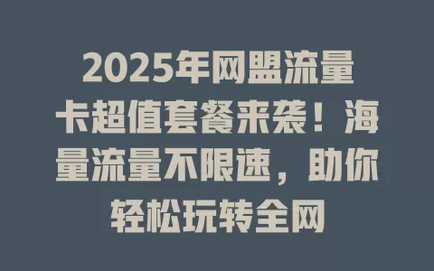 2025年网盟流量卡超值套餐来袭！海量流量不限速，助你轻松玩转全网