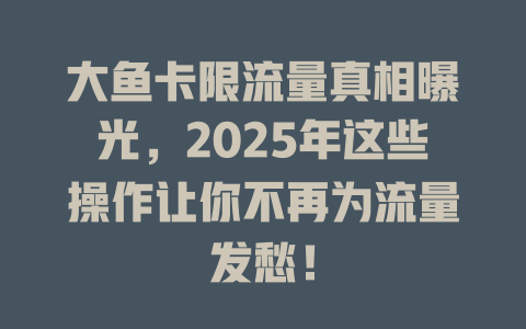 大鱼卡限流量真相曝光，2025年这些操作让你不再为流量发愁！