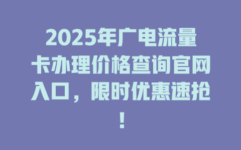 2025年广电流量卡办理价格查询官网入口，限时优惠速抢！