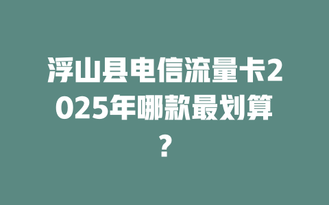 浮山县电信流量卡2025年哪款最划算？