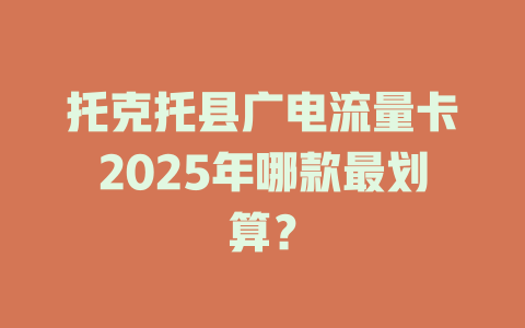 托克托县广电流量卡2025年哪款最划算？