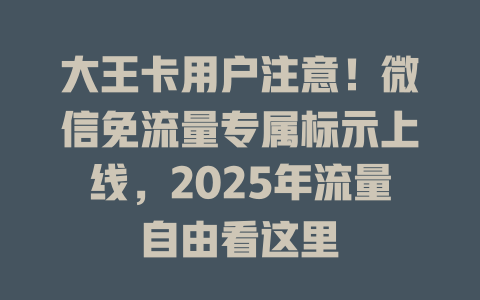 大王卡用户注意！微信免流量专属标示上线，2025年流量自由看这里