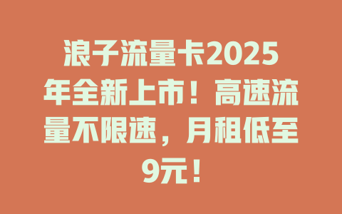 浪子流量卡2025年全新上市！高速流量不限速，月租低至9元！