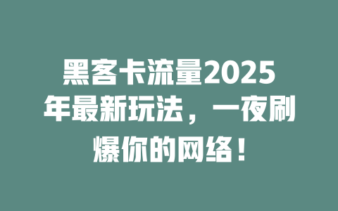 黑客卡流量2025年最新玩法，一夜刷爆你的网络！
