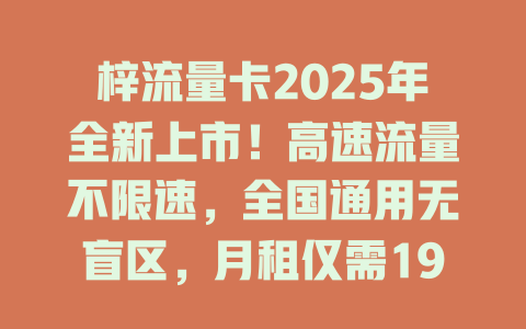梓流量卡2025年全新上市！高速流量不限速，全国通用无盲区，月租仅需19元！