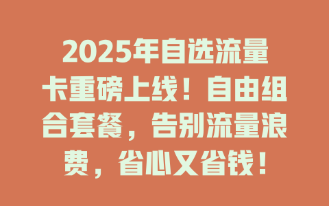 2025年自选流量卡重磅上线！自由组合套餐，告别流量浪费，省心又省钱！