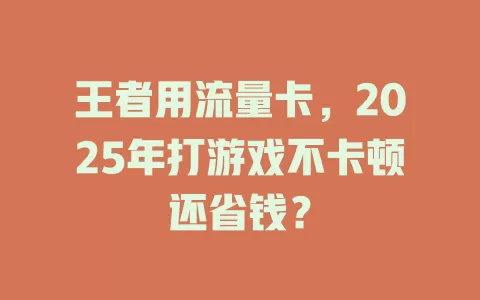 王者用流量卡，2025年打游戏不卡顿还省钱？