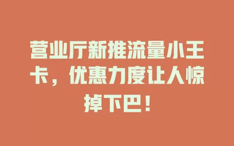 营业厅新推流量小王卡，优惠力度让人惊掉下巴！