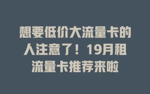 想要低价大流量卡的人注意了！19月租流量卡推荐来啦