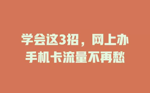 学会这3招，网上办手机卡流量不再愁