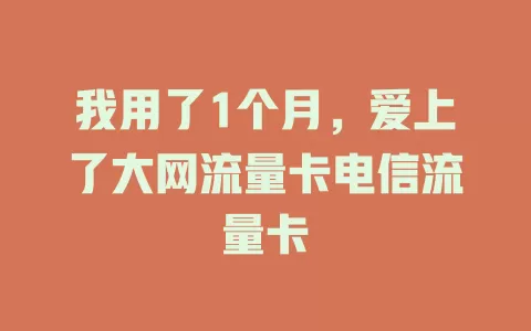 我用了1个月，爱上了大网流量卡电信流量卡