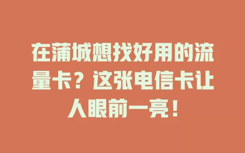 在蒲城想找好用的流量卡？这张电信卡让人眼前一亮！