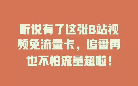 听说有了这张B站视频免流量卡，追番再也不怕流量超啦！