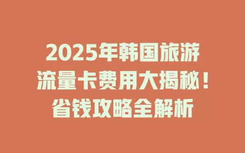 2025年韩国旅游流量卡费用大揭秘！省钱攻略全解析