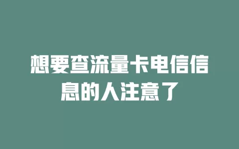 想要查流量卡电信信息的人注意了