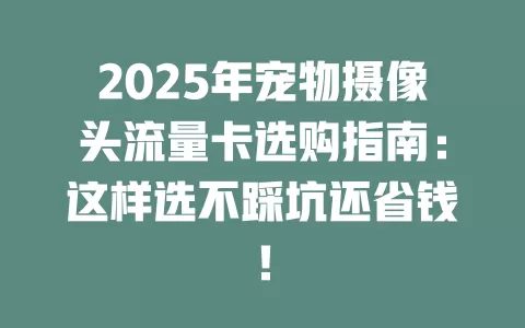2025年宠物摄像头流量卡选购指南：这样选不踩坑还省钱！