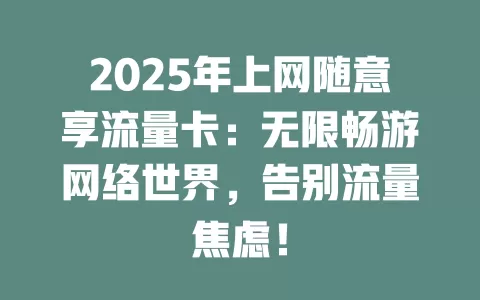 2025年上网随意享流量卡：无限畅游网络世界，告别流量焦虑！