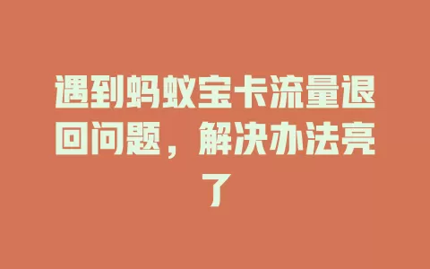 遇到蚂蚁宝卡流量退回问题，解决办法亮了