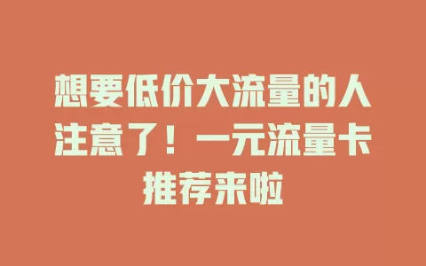 想要低价大流量的人注意了！一元流量卡推荐来啦