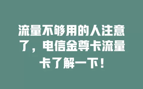 流量不够用的人注意了，电信金尊卡流量卡了解一下！