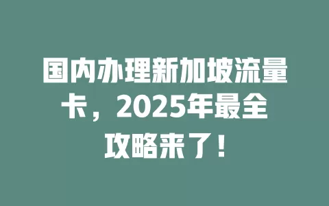 国内办理新加坡流量卡，2025年最全攻略来了！