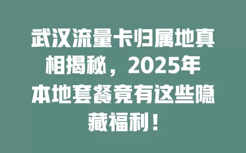 武汉流量卡归属地真相揭秘，2025年本地套餐竟有这些隐藏福利！