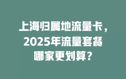 上海归属地流量卡，2025年流量套餐哪家更划算？