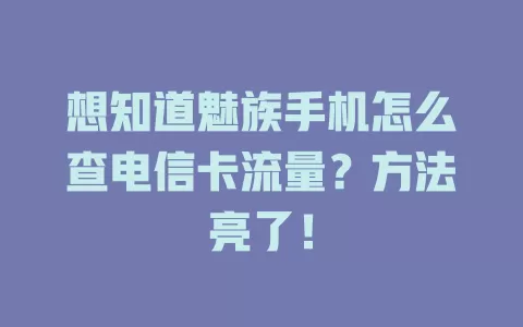 想知道魅族手机怎么查电信卡流量？方法亮了！