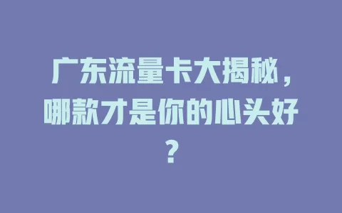 广东流量卡大揭秘，哪款才是你的心头好？