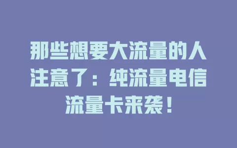 那些想要大流量的人注意了：纯流量电信流量卡来袭！