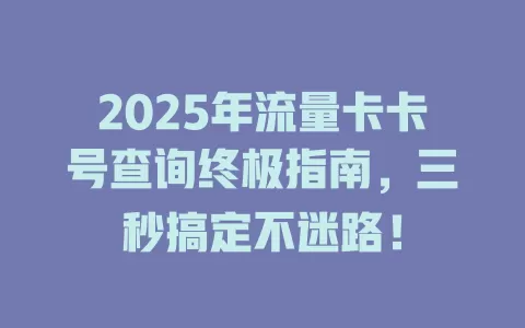 2025年流量卡卡号查询终极指南，三秒搞定不迷路！