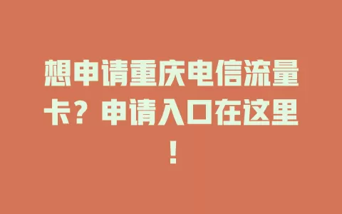 想申请重庆电信流量卡？申请入口在这里！