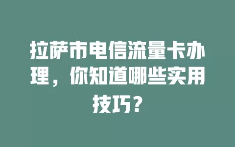 拉萨市电信流量卡办理，你知道哪些实用技巧？
