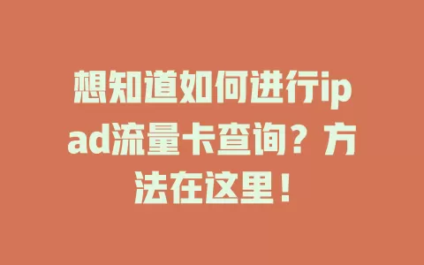 想知道如何进行ipad流量卡查询？方法在这里！