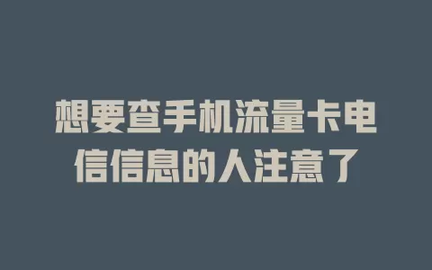 想要查手机流量卡电信信息的人注意了