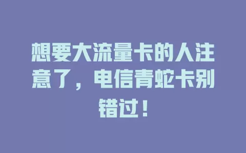 想要大流量卡的人注意了，电信青蛇卡别错过！