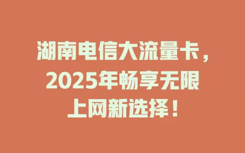 湖南电信大流量卡，2025年畅享无限上网新选择！