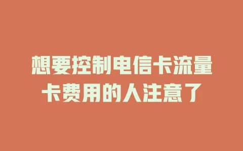 想要控制电信卡流量卡费用的人注意了