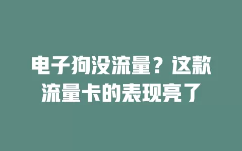 电子狗没流量？这款流量卡的表现亮了