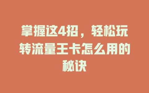 掌握这4招，轻松玩转流量王卡怎么用的秘诀