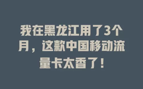我在黑龙江用了3个月，这款中国移动流量卡太香了！