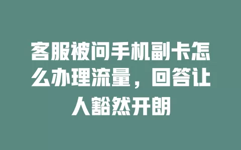 客服被问手机副卡怎么办理流量，回答让人豁然开朗