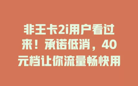 非王卡2i用户看过来！承诺低消，40元档让你流量畅快用