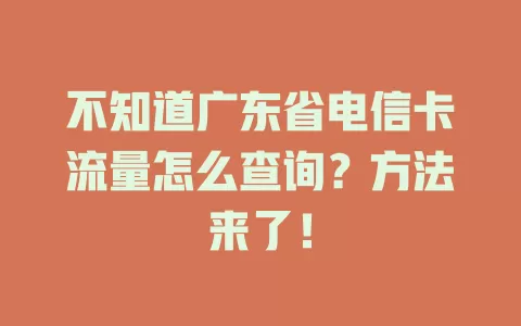 不知道广东省电信卡流量怎么查询？方法来了！