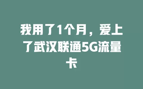 我用了1个月，爱上了武汉联通5G流量卡