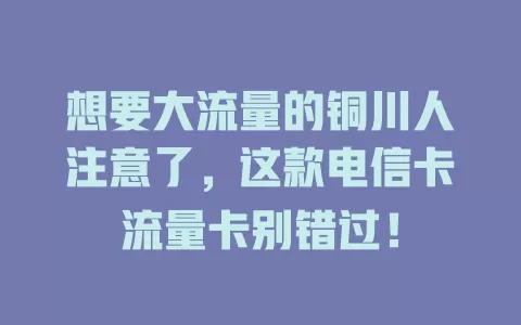 想要大流量的铜川人注意了，这款电信卡流量卡别错过！
