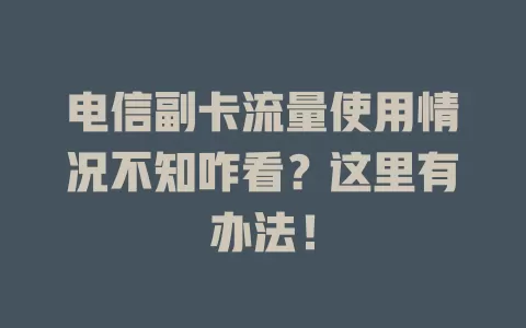电信副卡流量使用情况不知咋看？这里有办法！