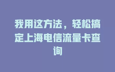 我用这方法，轻松搞定上海电信流量卡查询