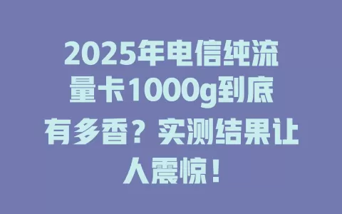 2025年电信纯流量卡1000g到底有多香？实测结果让人震惊！