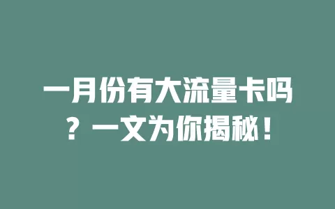 一月份有大流量卡吗？一文为你揭秘！